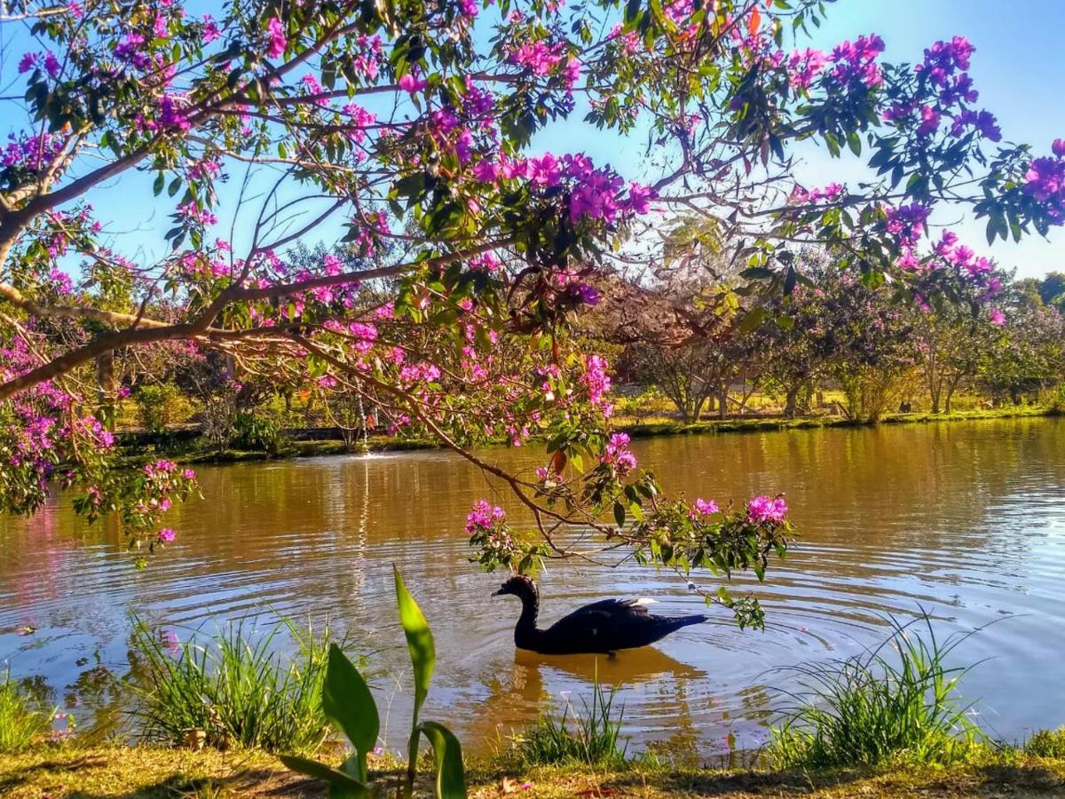 Pousada Chales Do Retiro - Serra Do Cipo Mg Jaboticatubas Eksteriør bilde